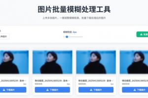 超级实用的图片模糊批量处理工具