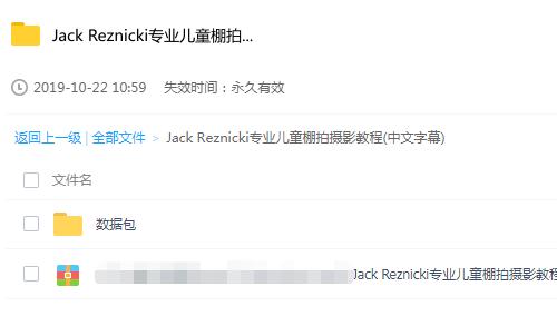 Jack Reznicki专业儿童棚拍摄影教程(中文字幕)数码单反人像布光