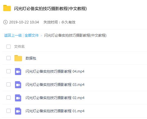 闪光灯必备实拍技巧摄影教程 中文字 清晰摄影教程资料