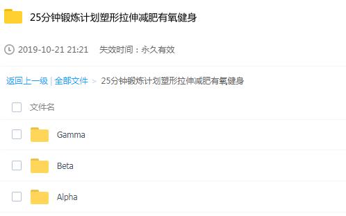 FOCUS T25 Workout Program25分钟锻炼计划塑形拉伸减肥有氧健身