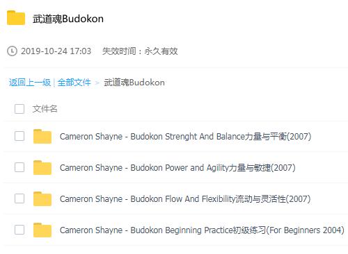 武道魂Budokon腰腹部减肥燃脂减脂锻炼全身塑形瑜伽