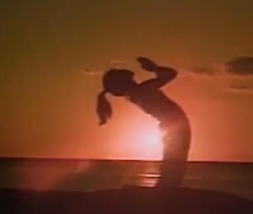 张蕙兰瑜伽全套教程