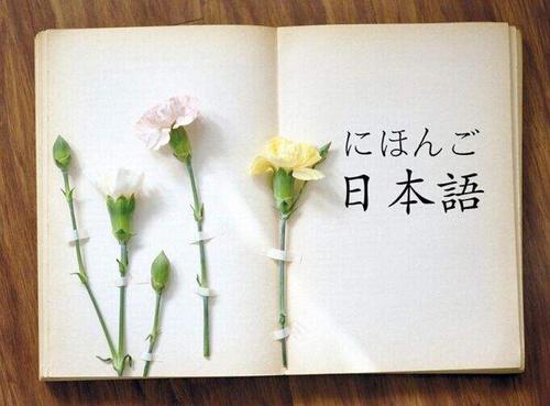 日语N4考试学习辅导教程