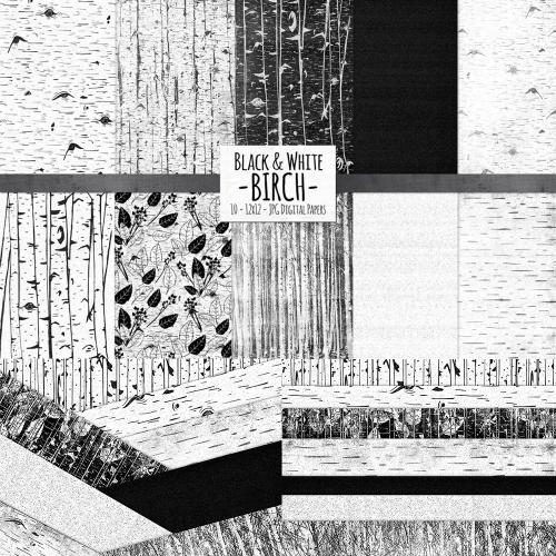 黑白桦木纹理背景黑白灰森林树林底纹JPG设计素材