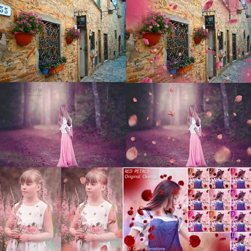 梦幻粉色花瓣覆盖图层叠加相片特效影楼后期相册PNG设计素材