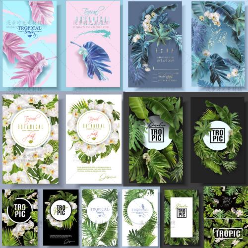 手绘叶子龟背竹邀请函请柬装饰画玄关海报矢量AI设计素材