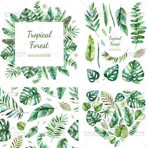 手绘水彩热带雨林植物棕榈树叶龟背竹高清图案海报设计素材