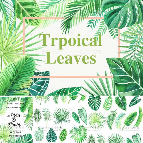 手绘水彩热带叶子龟背竹婚礼请柬卡片PSD分层PNG免抠设计素材