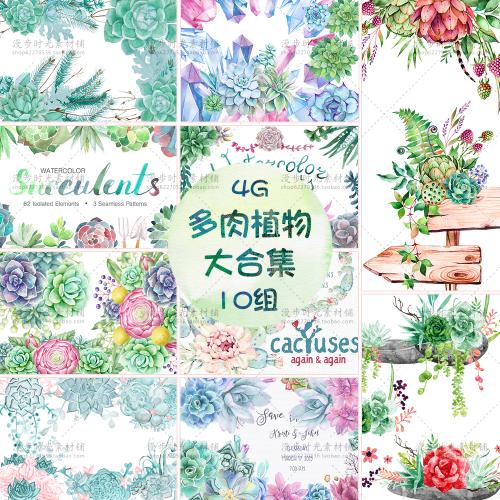 （合集）水彩手绘多肉植物园艺店花店LOGO水印头像PNG设计素材