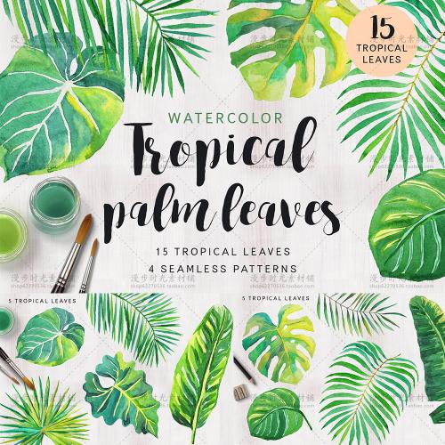 热带植物绿色树叶龟背竹芭蕉棕桐树卡片海报PNG透明底设计素材