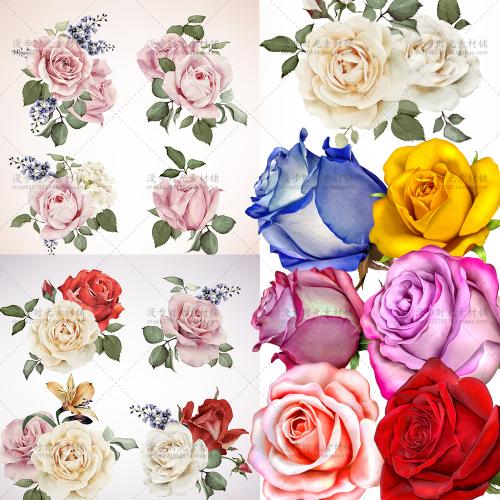 森系复古矢量手绘红黄蓝白粉色玫瑰花EPS平面设计素材AI海报