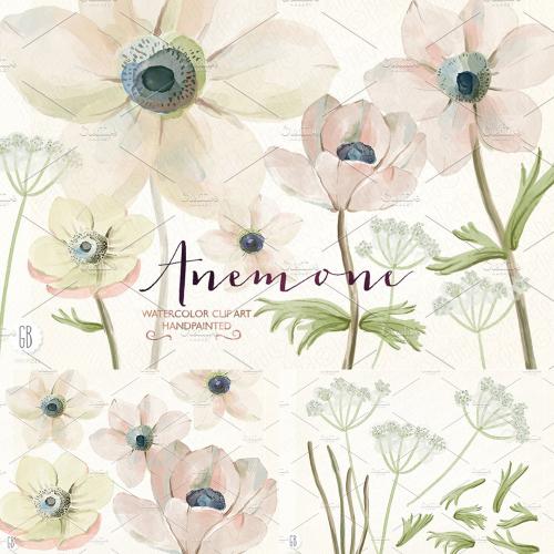 清新手绘银莲花水彩剪贴画卡片明信片包装图PNG设计素材