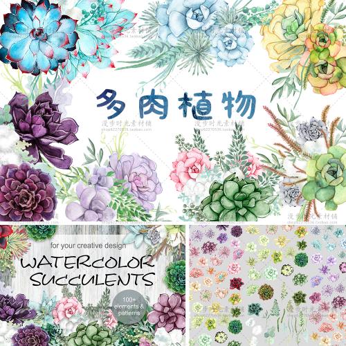 手绘水彩 多肉植物花艺园艺花园店铺装修名片手帐 PNG设计素材
