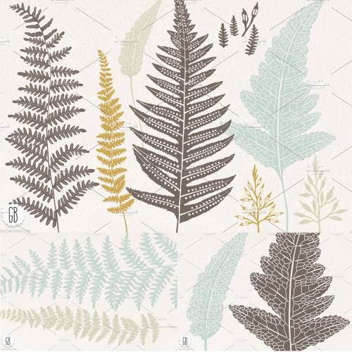 手绘蕨类植物学矢量图形装饰画背景画元素AI矢量设计素材