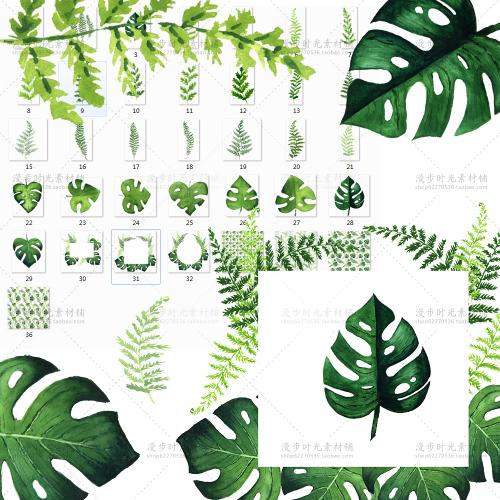 手绘水彩清新绿色蕨类植物龟背竹叶子PNG图片装饰画芯设计素材