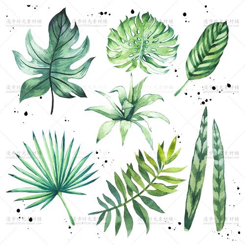 手绘水彩热带植物绿叶树叶阔叶棕榈叶PSD透明图片卡片设计素材
