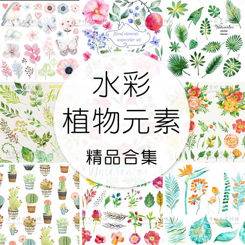 森系水彩手绘花鸟花草叶子婚礼请柬手帐贺卡手账EPS矢量素材