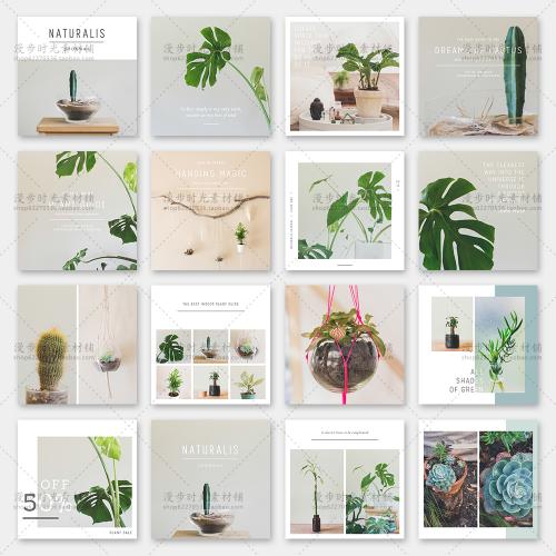 文字排版家居绿植多肉植物网店装修广告促销PSD分层设计素材