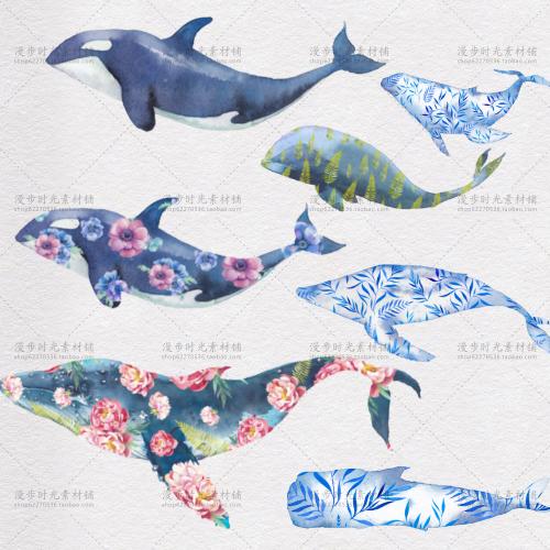 手绘水彩PNG免扣浪漫鲸鱼童话花朵儿童装饰插画背景墙设计素材