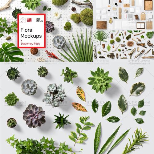 花卉花朵绿植叶子多肉植物龟背竹干树枝主题PSD设计样机素材