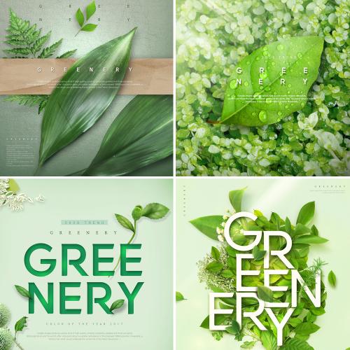 绿色植物叶子创意环保护肤品PSD海报宣传单模板设计PS素材