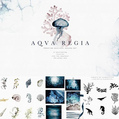 手绘水彩海洋风水母贝壳珊瑚卡片背景图案PNG免抠设计素材