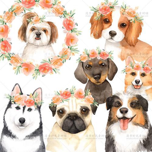 手绘水彩狗狗哈士奇二哈金毛斗牛犬花卉PNG图片狗年设计素材
