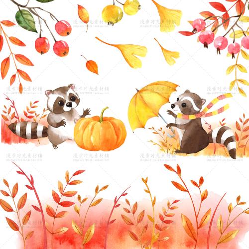手绘水彩森系秋天银杏落叶南瓜浣熊PNG免扣图片卡片设计素材