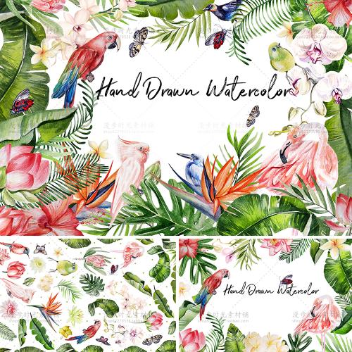 手绘水彩热带植物叶子花朵鹦鹉小鸟卡片 PSD+PNG免抠设计素材