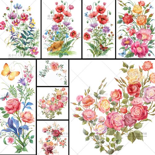 手绘水彩彩铅花朵花卉玫瑰花虞美人格桑花JPG图片设计素材