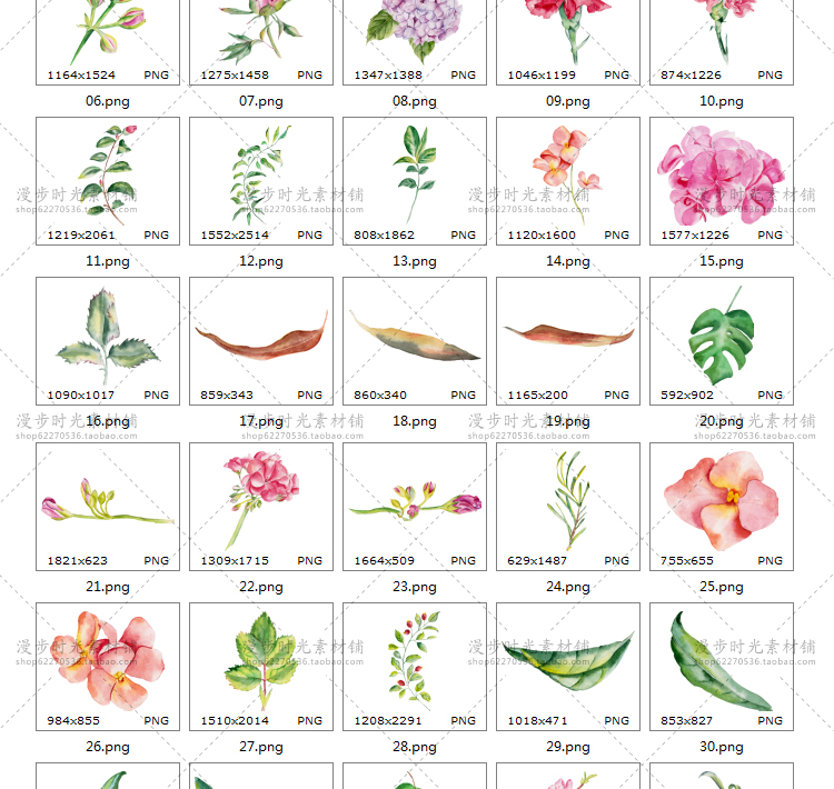 手绘水彩玫瑰花绣球花