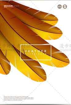 底纹花纹羽毛EPS矢量设计素材