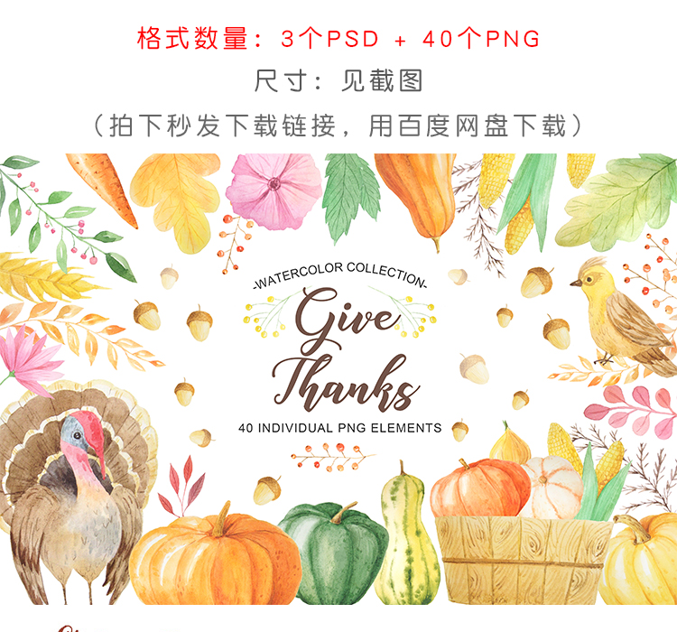 手绘水彩秋季植物素材