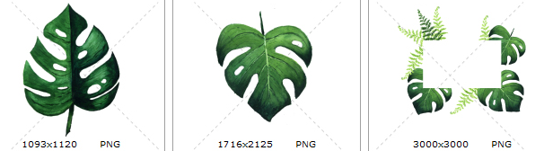 手绘水彩清新绿色蕨类植物