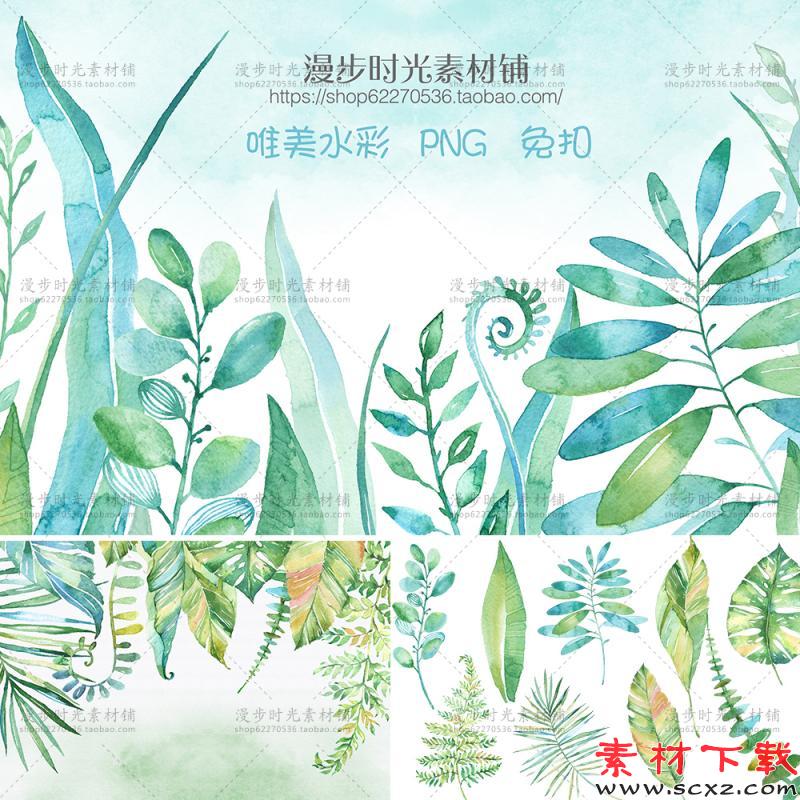手绘绿色叶子热带植物