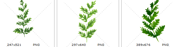 手绘水彩清新绿色蕨类植物