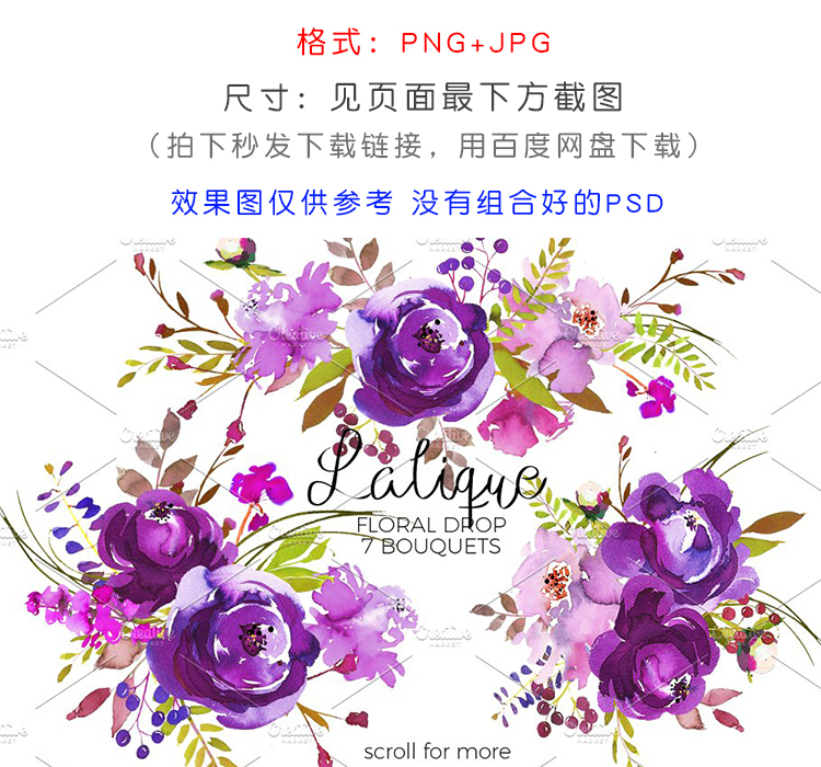 紫罗兰紫色花卉水彩