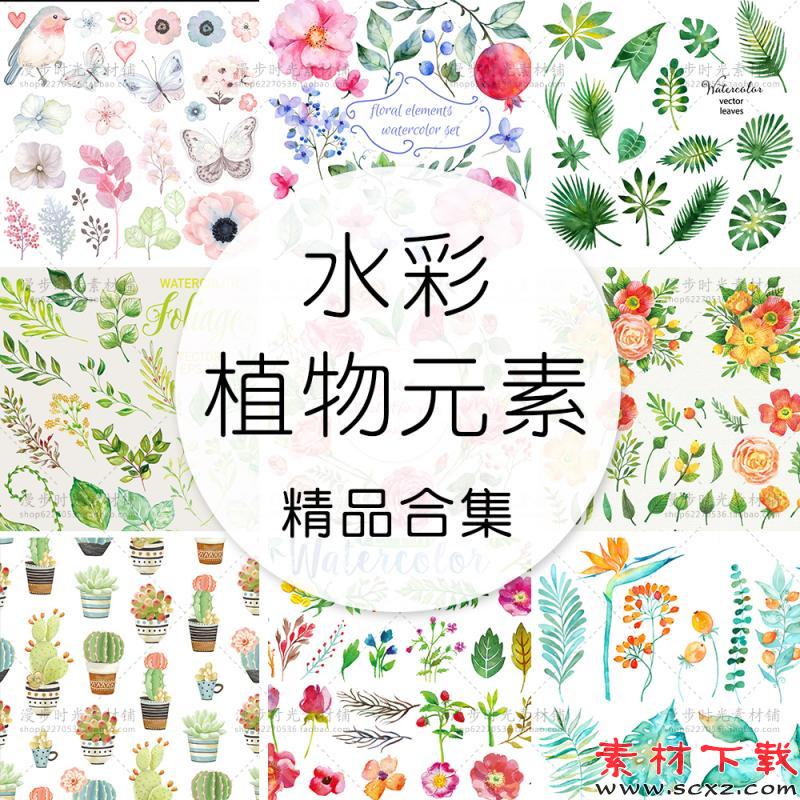 森系水彩手绘花鸟花草叶子素材