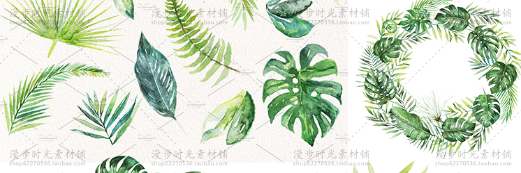 手绘水彩绿色热带植物叶子