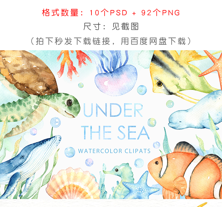 手绘水彩海洋生物模板