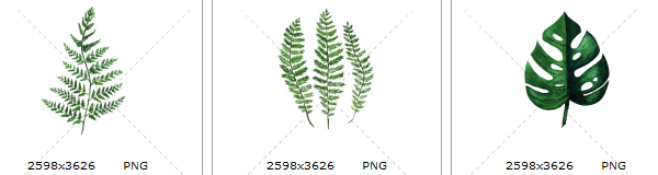 手绘水彩清新绿色蕨类植物