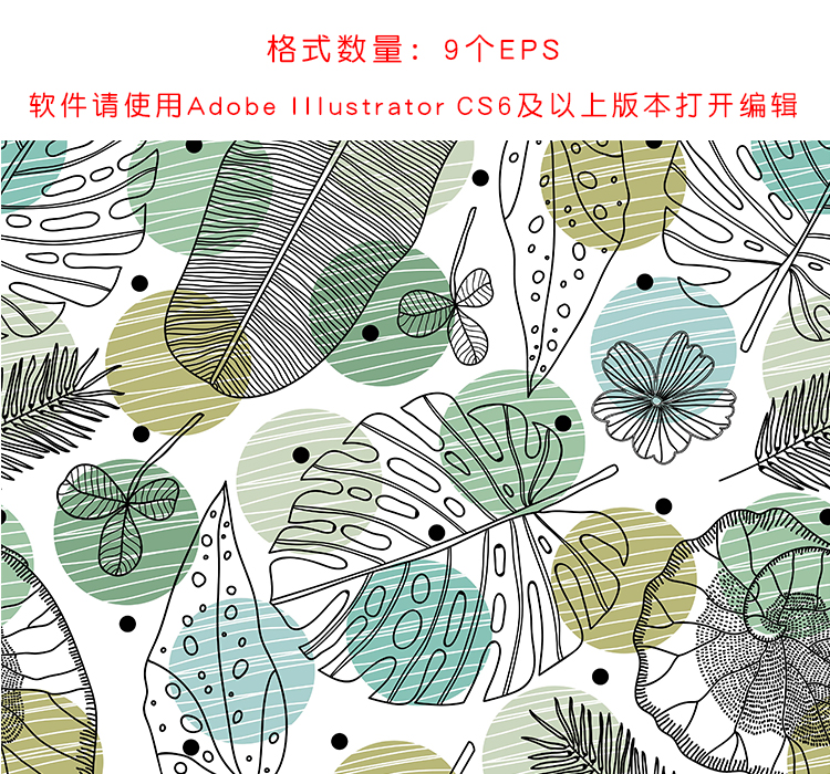 矢量多彩叶子龟背竹森系植物