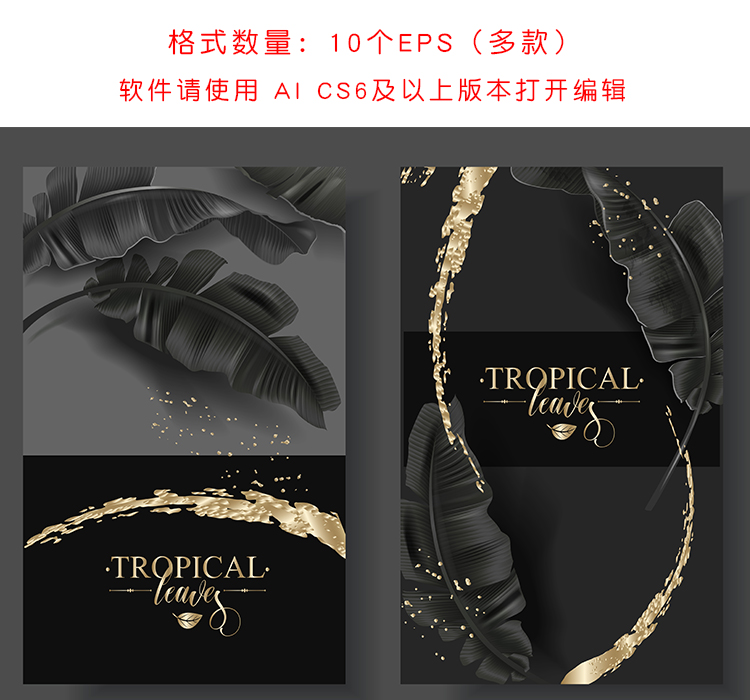 龟背竹卡片装饰画玄关海报