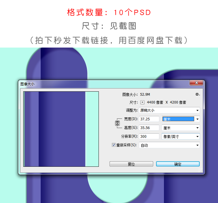 剪纸风火烈鸟热带雨林植物图