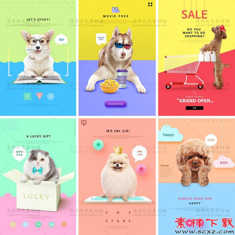 韩国创意可爱简约宠物店用品