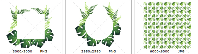 手绘水彩清新绿色蕨类植物