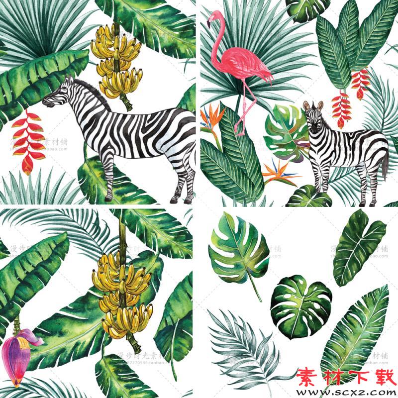 水彩手绘热带植物