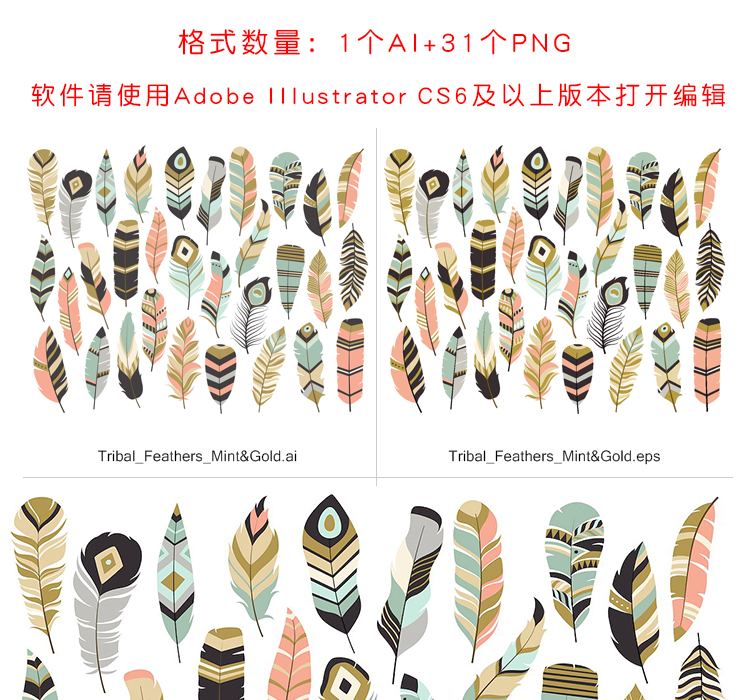 唯美高清部落羽毛