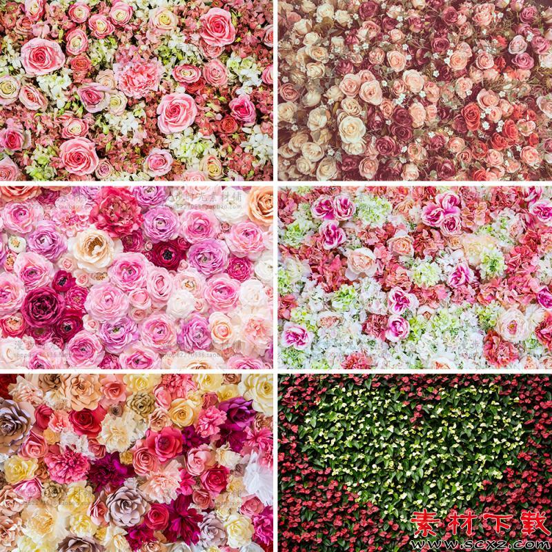 花海高清图片设计素材