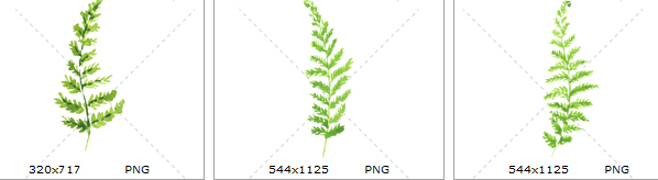 手绘水彩清新绿色蕨类植物
